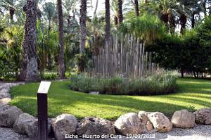 19 ELCHE HUERTO DEL CURA (110)